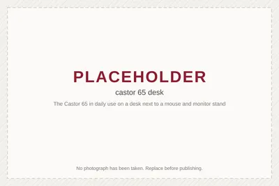 The Castor 65 in daily use on a desk next to a mouse and monitor stand